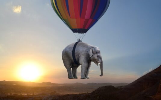 elephant, sunset, steppe, balloon, weightless, ease, pachyderm, afterglow, assembly, elephant, balloon, ease, ease, nature, ease, ease, ease