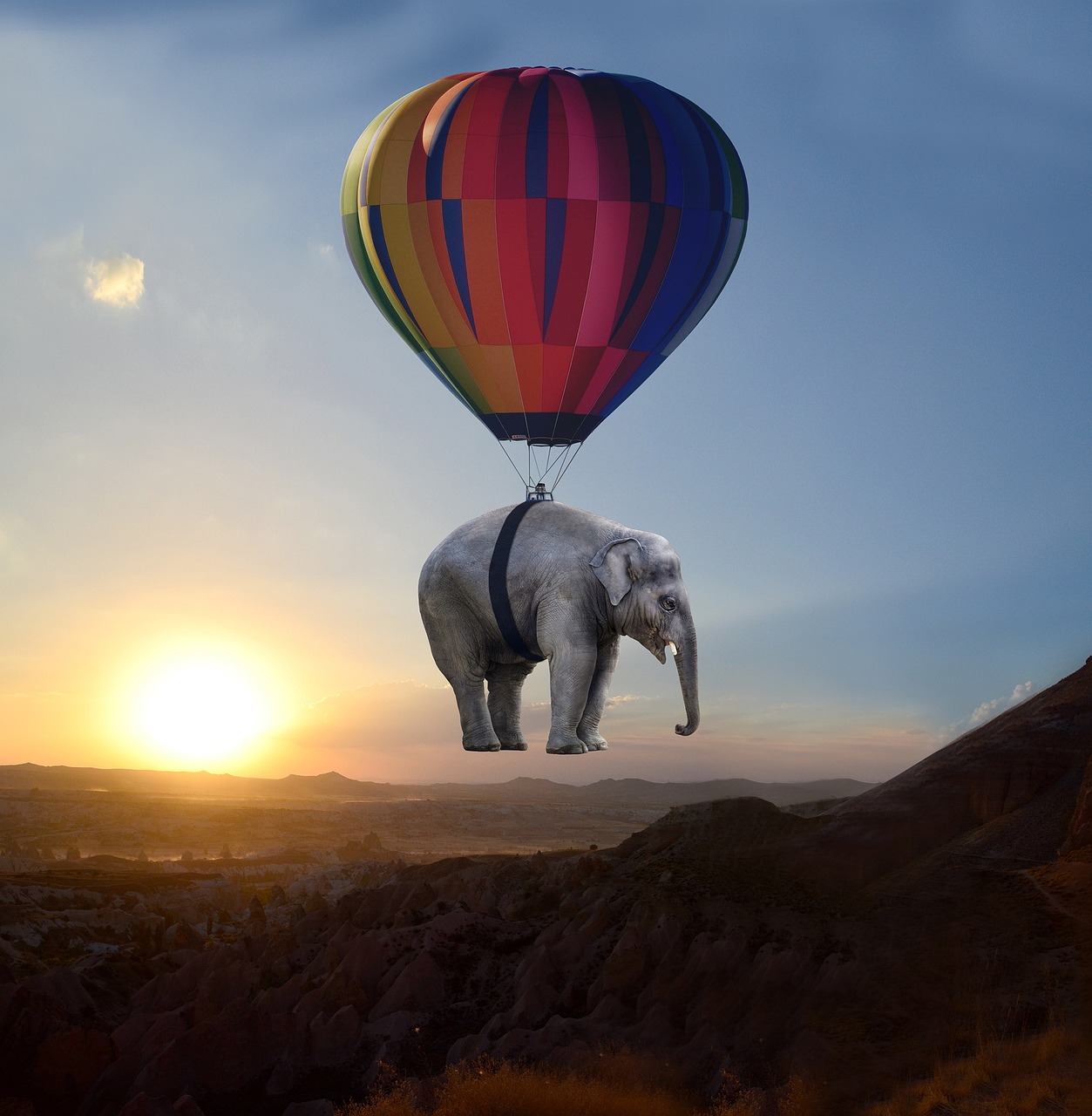 elephant, sunset, steppe, balloon, weightless, ease, pachyderm, afterglow, assembly, elephant, balloon, ease, ease, nature, ease, ease, ease