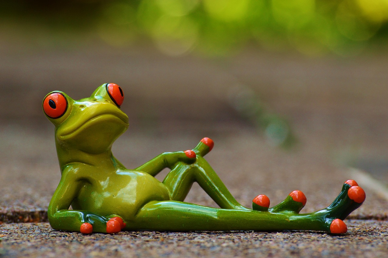 frog, lying, relaxed, cute, quiet, figure, fun, relaxation, nature, animal, frogs, wildlife